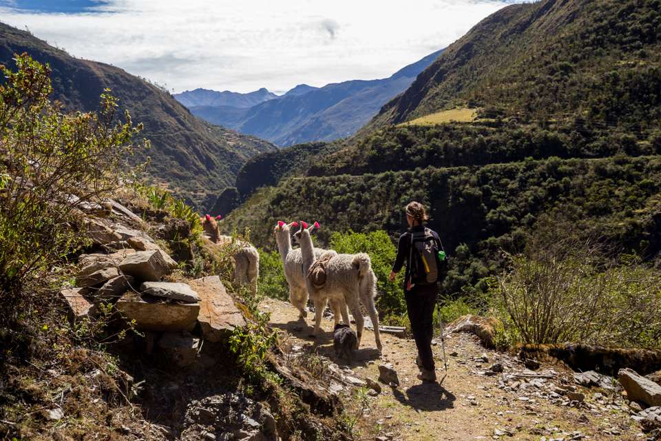 Lares Trek to Machu Picchu - Exodus Adventure Travels - Peru - Image 22