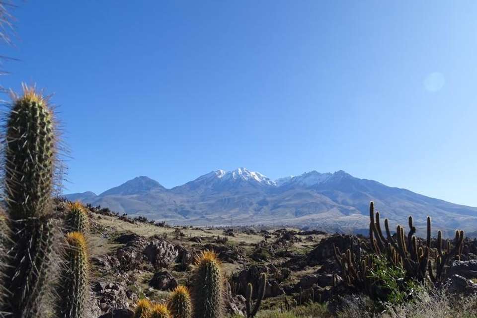 Las Rocas Park and Chilina Valley Bike Tour - undefined - Image 2