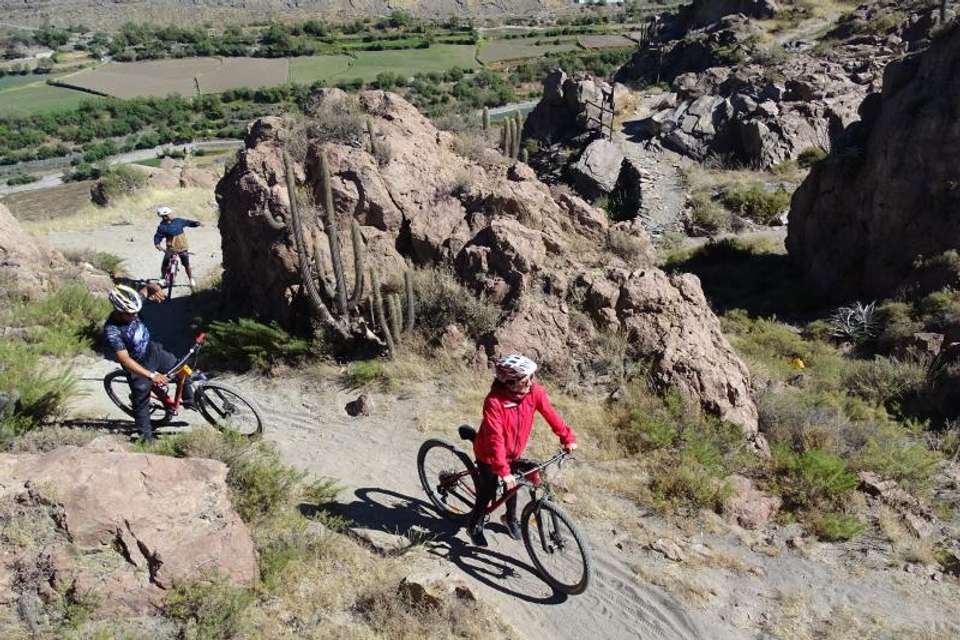 Las Rocas Park and Chilina Valley Bike Tour - undefined - Image 6