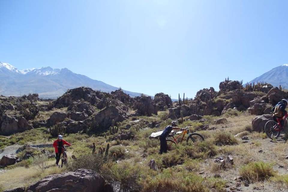 Las Rocas Park and Chilina Valley Bike Tour - undefined - Image 7