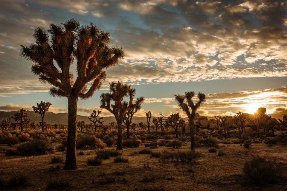 Las Vegas, San Francisco & Los Angeles - 8 days - On The Go Tours - USA - Image 6