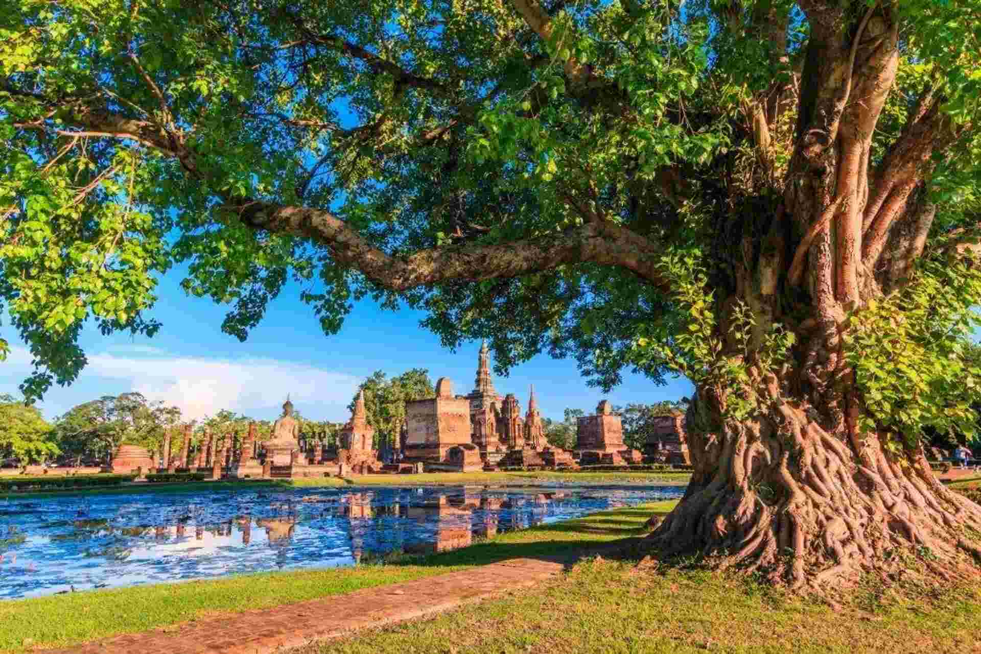 Last Minute Offer – Trails And Gems Of Siam, Small Group Tour (italian-speaking Guide)