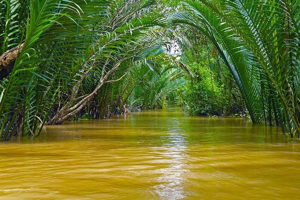 Le Cochinchine - Mekong Delta Cruise 2 Days 1 Night - undefined - Image 1