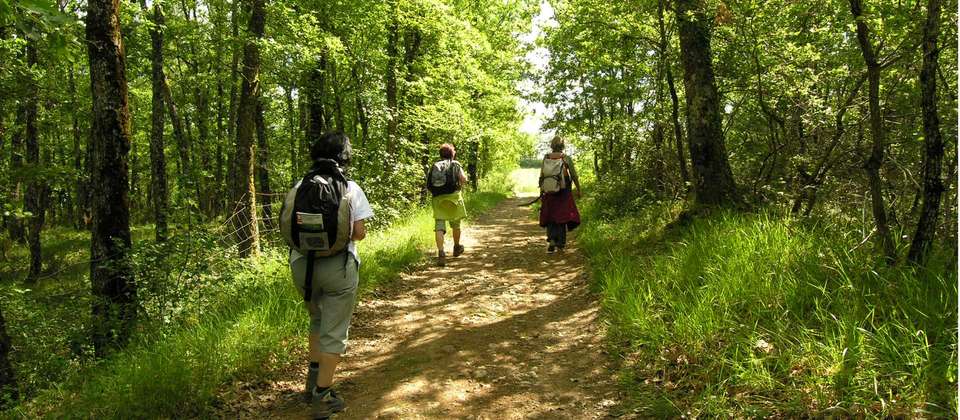 Le Puy Camino - Aire sur l'Adour to the Pyrenees - undefined - Image 4