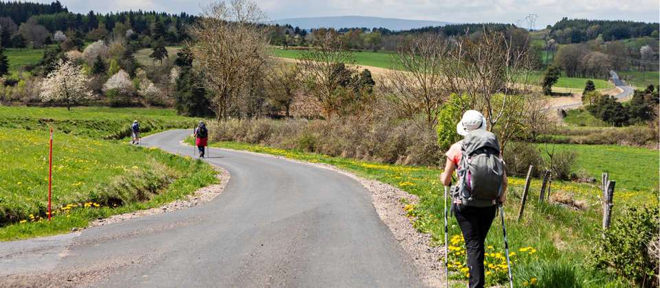 Le Puy Camino - Aire sur l'Adour to the Pyrenees - undefined - Image 5