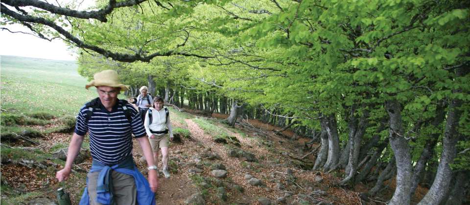Le Puy Camino - Aumont to Conques - Utracks - France - Image 5