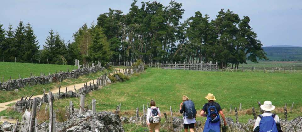 Le Puy Camino - Cahors to Lectoure - Utracks - France - Image 7