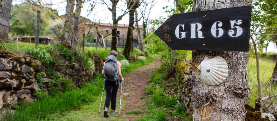 Le Puy Camino - Lectoure to Aire sur l'Adour - Utracks - France - Image 4