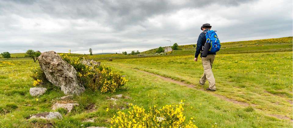 Le Puy Camino - Lectoure to Aire sur l'Adour - Utracks - France - Image 5