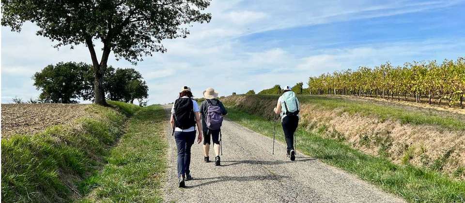 Le Puy Camino - Lectoure to Aire sur l'Adour - Utracks - France - Image 6