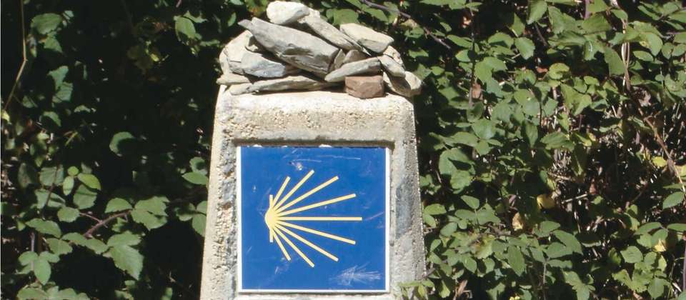 Le Puy Camino - Lectoure to Aire sur l'Adour - Utracks - France - Image 7