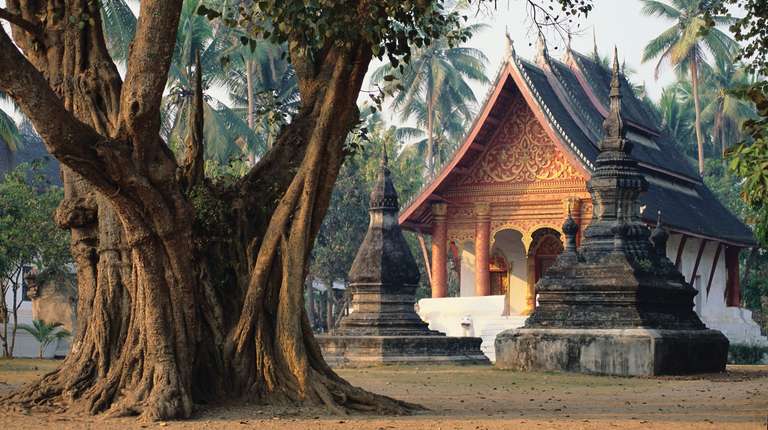 Learn About Rice Cultivation and Cool Down in the Jungle trip - alternative tour available
