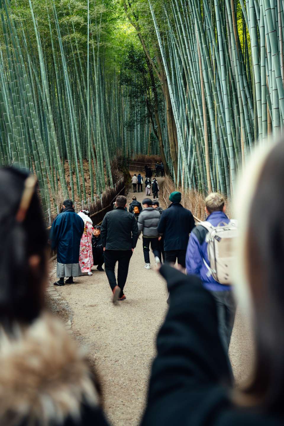 Legend of Japan - Trutravels - Japan - Image 7