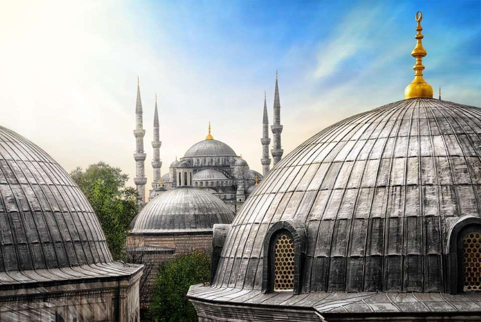 Legendary Turkey - undefined - Image 10