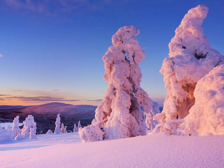 Levi Lapland Explorer - 6 Days trip - alternative tour available