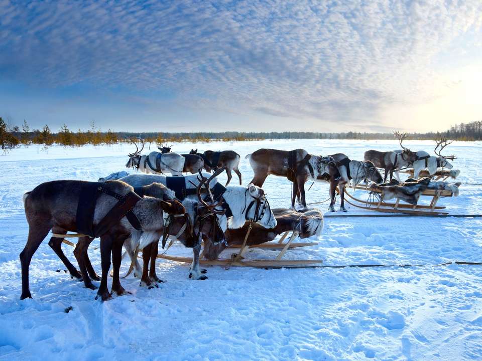 Levi Lapland Explorer - 6 Days - undefined - Image 4