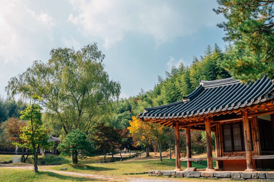 Lights of Japan and Korea - Europamundo - South Korea - Image 6