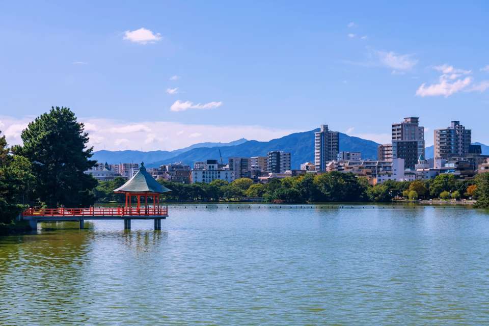 Lights of Japan and Korea - Europamundo - South Korea - Image 10