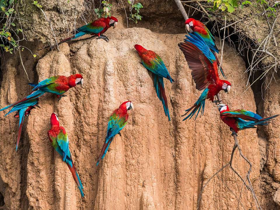 Lima, Amazon, Machu Picchu & Cusco - 8 days - undefined - Image 5