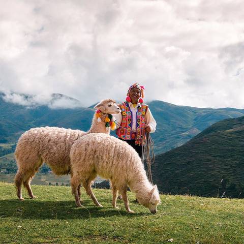 Lima To Buenos Aires