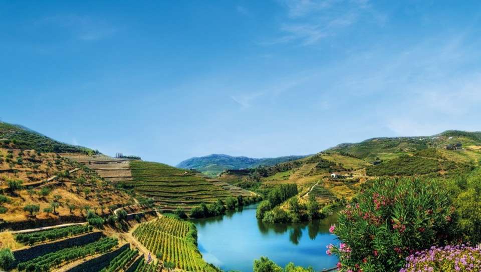 Lisbon, Porto and the Douro valley (Portugal) and Salamanca (Spain) (port-to-port cruise) - Croisieurope - Portugal - Image 7