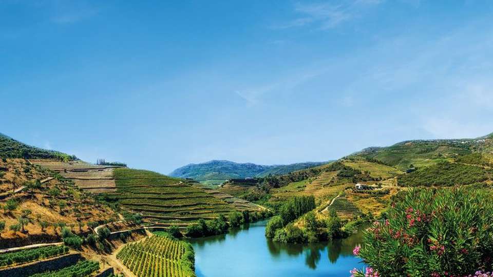 Lisbon, Porto and the Douro valley (Portugal) and Salamanca (Spain) (port-to-port cruise) - Tweet World Travel - Portugal - Image 7
