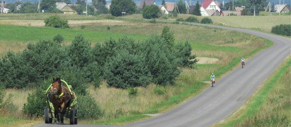 Image 3 of 6
