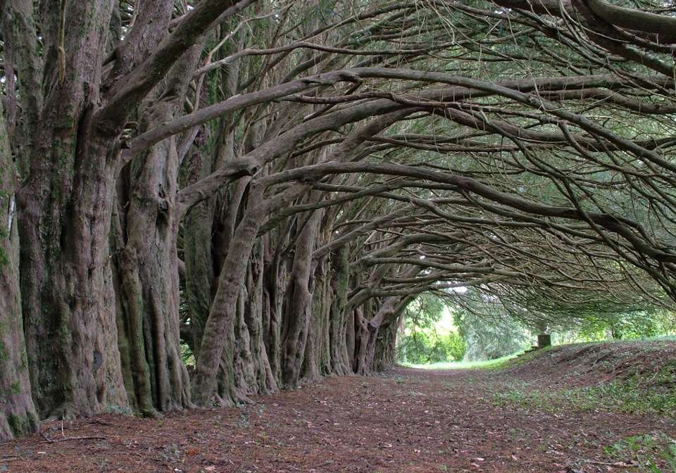 Live Like A Lord - Indus Travels - Ireland - Image 2