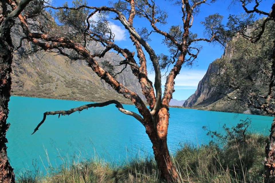 Llanganuco Lake Tour from Huaraz - Tangol Tours - Peru - Image 4