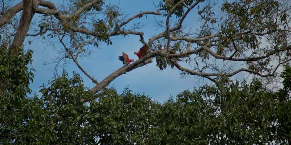 Local Living Ecuador—Amazon Jungle - G Adventures - Ecuador - Image 2