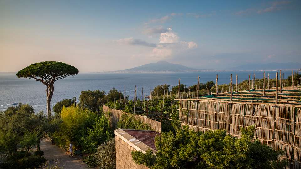 Local Living Italy—Sorrento - G Adventures - Italy - Image 8