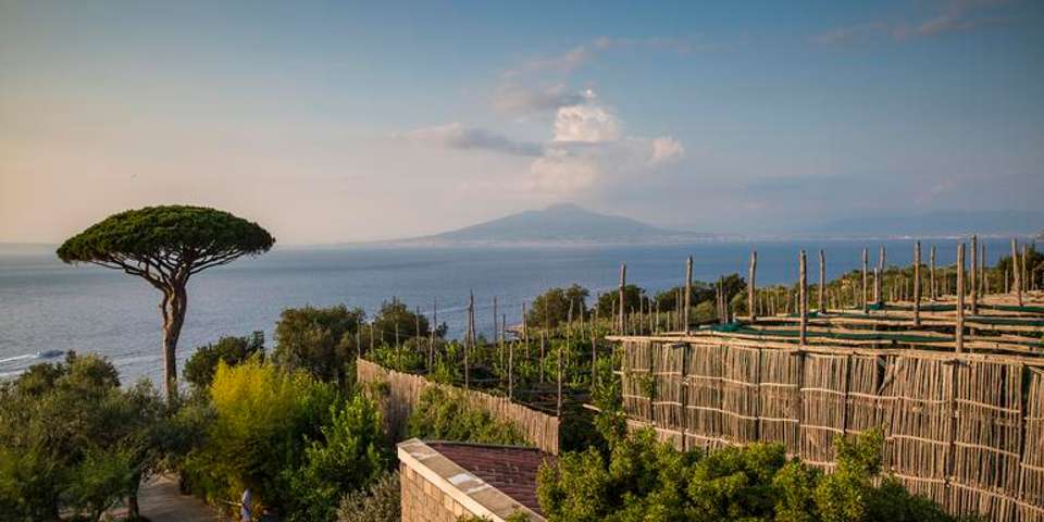 Local Living Italy—Sorrento - G Adventures - Italy - Image 3