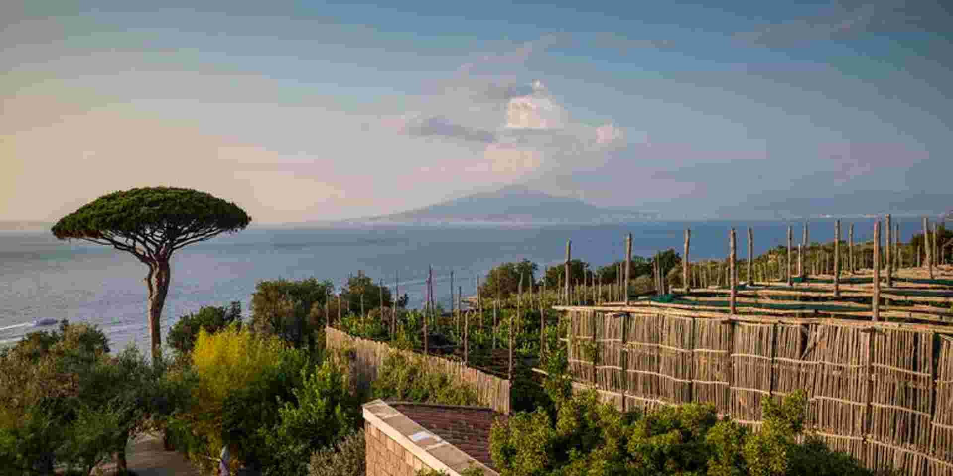 Local Living Italy—Sorrento