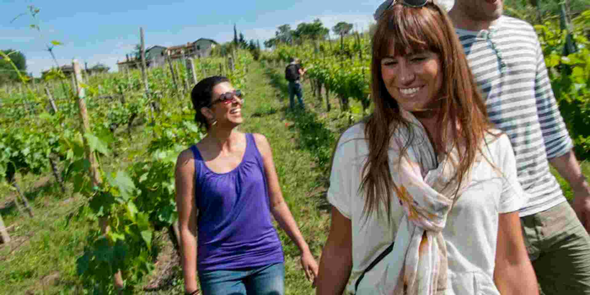 Local Living Italy - Tuscany San Gimignano