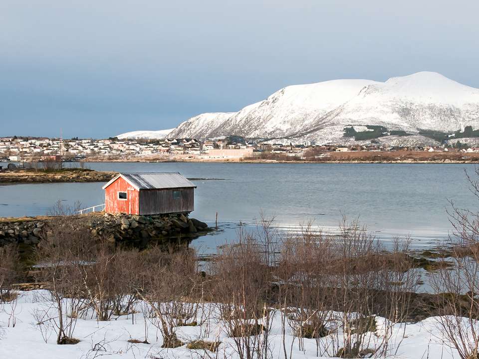 Lofoten & Tromso Discovery - 7 days - On The Go Tours - Norway - Image 3