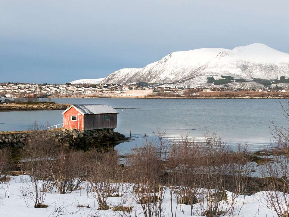 Lofoten & Tromso Discovery - 7 days - On The Go Tours - Norway - Image 3