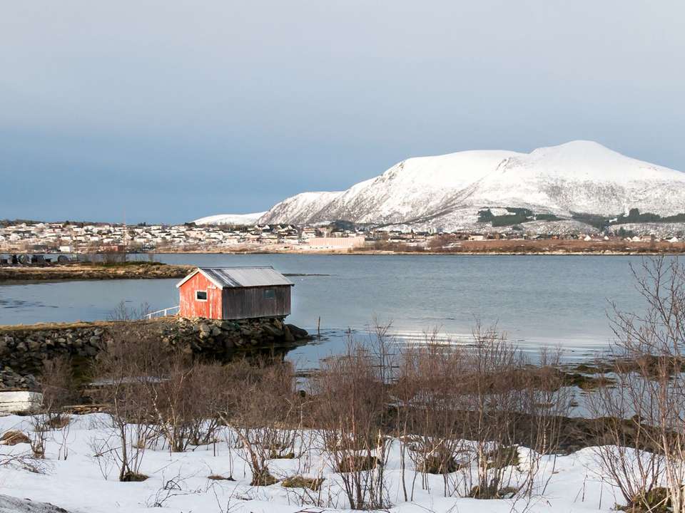 Lofoten Islands Self Drive - 10 days - On The Go Tours - Norway - Image 4