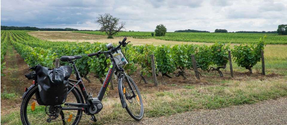 Loire Valley Cycle - Utracks - France - Image 3