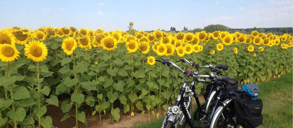 Loire Valley Cycle - Utracks - France - Image 4