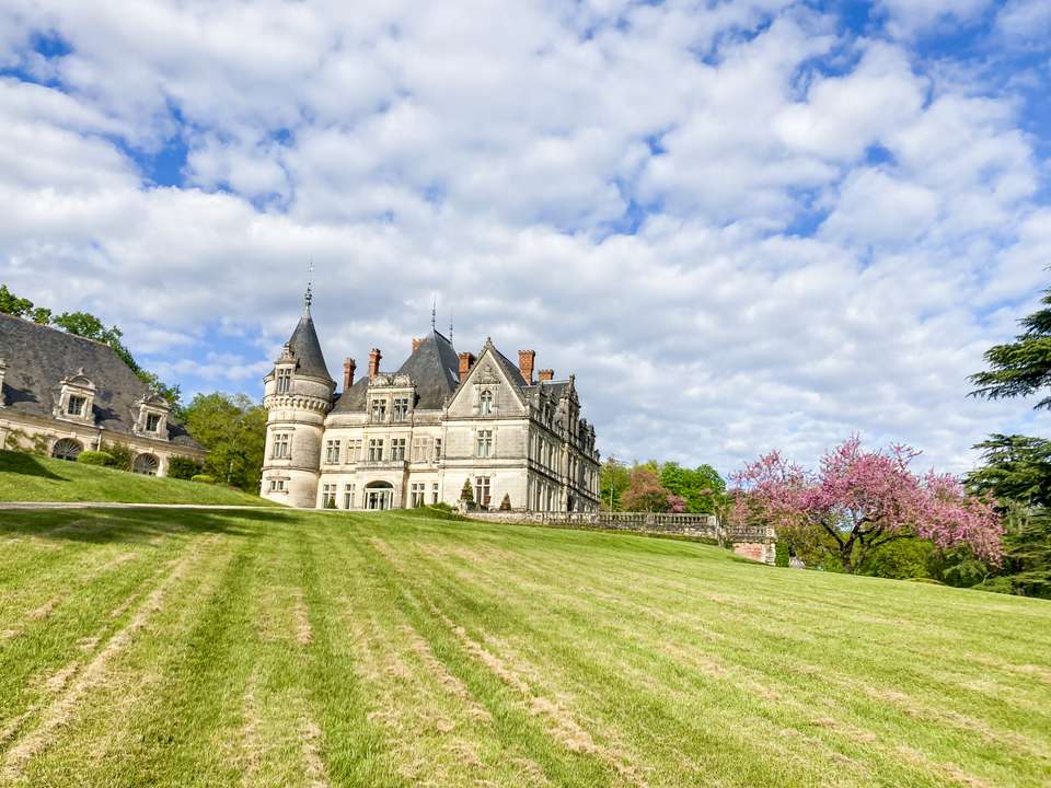 Loire Valley: Walks, Wine & Chateaux - undefined - Image 9