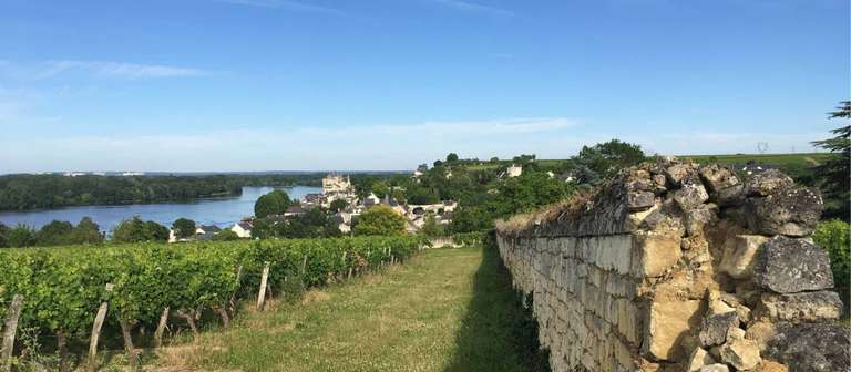 Loire Vineyard Trails trip - alternative tour available