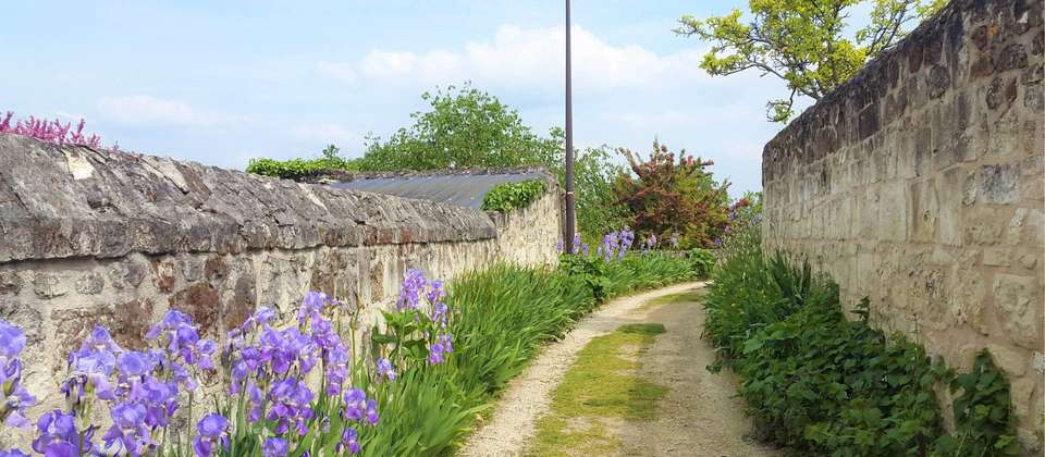 Loire Vineyard Trails - Walkers' Britain - France - Image 5