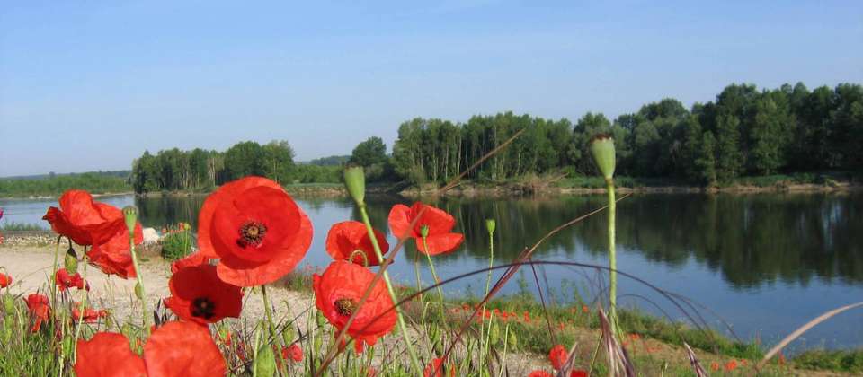 Loire Vineyard Trails - Walkers' Britain - France - Image 6