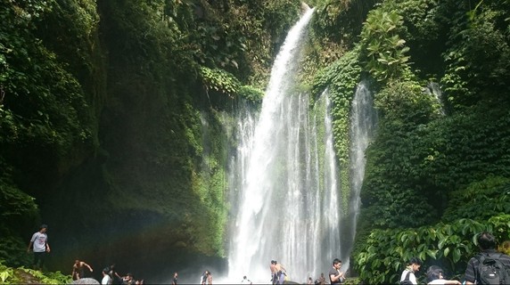 Image 2 of 8