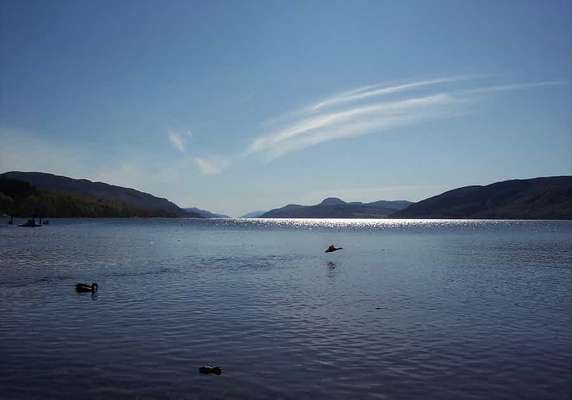 Image 2 of 12