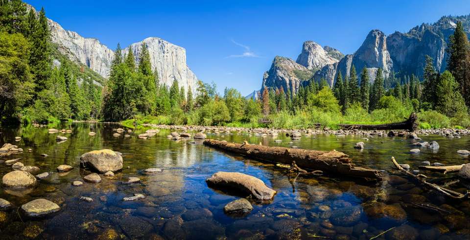 Los Angeles, Yosemite, and Giant Sequoia - Europamundo - USA - Image 6