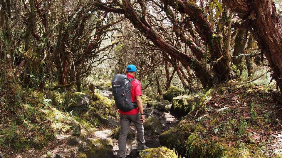 Los Nevados Adventure - Uncharted Earth - Colombia - Image 2