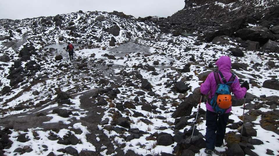 Los Nevados Adventure - Uncharted Earth - Colombia - Image 5