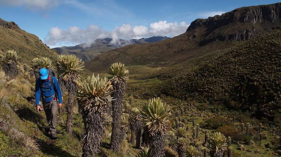 Los Nevados Adventure - Uncharted Earth - Colombia - Image 6