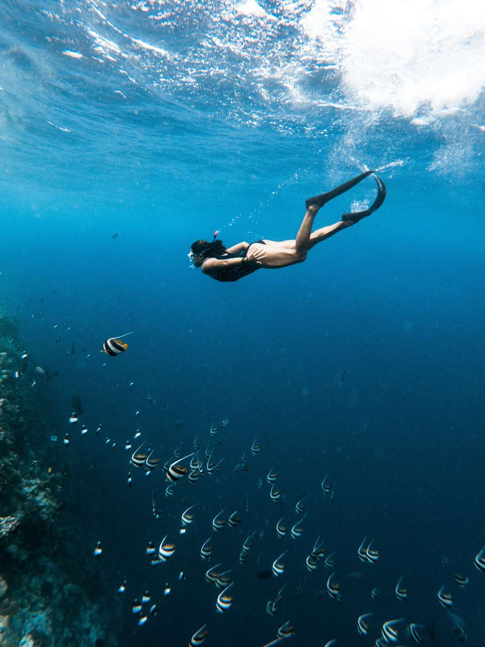 Los Tuneles & Isabela - 5 days - undefined - Image 2